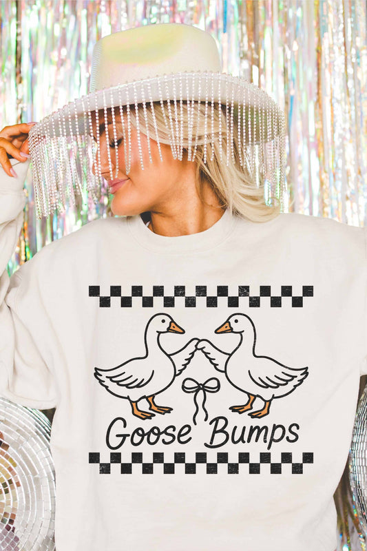 Chilly Goose Bump Crewneck