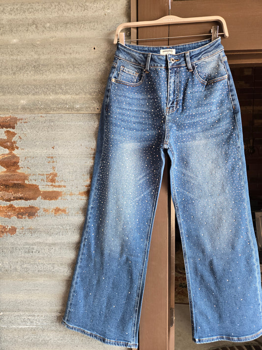 Sparkley Dreams Jeans